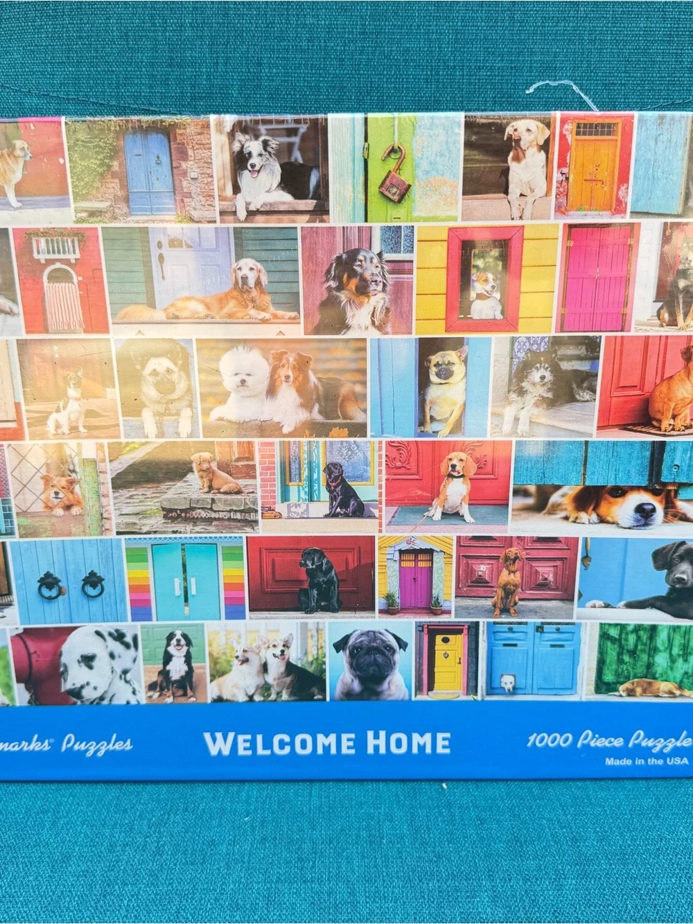 Welcome Home 1000-Piece Jigsaw Puzzle - Colorful Doors & Dogs